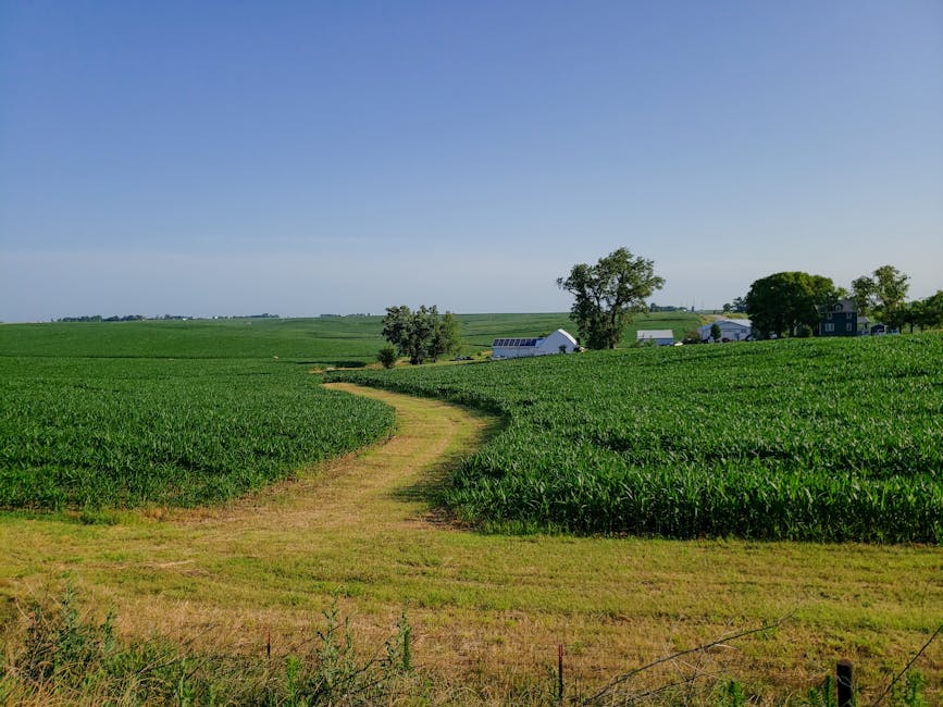 Iowa primaries signal both parties view state as crucial for congressional control