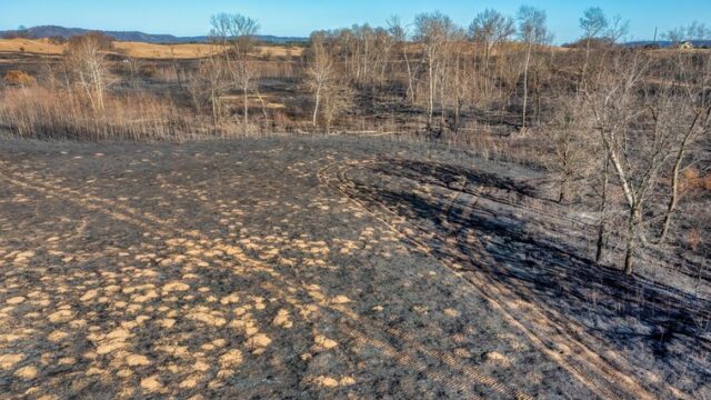 12 killed in Missouri skydiving plane crash near Butler
