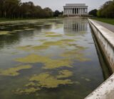 Trump blames vandals for Reflecting Pool damage; repair costs and cause remain disputed