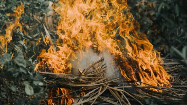 Over 250,000 evacuated as wildfires sweep France and Spain amid extreme heat