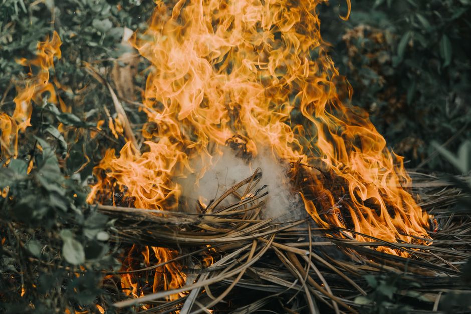 Over 250,000 evacuated as wildfires sweep France and Spain amid extreme heat