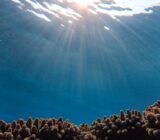 Australia’s marine parks protect remote ecosystems, not coastal fisheries, scientists tell environment minister