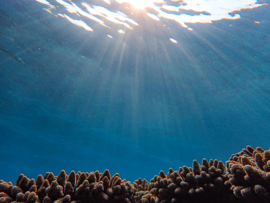 Australia’s marine parks protect remote ecosystems, not coastal fisheries, scientists tell environment minister