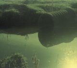UK water companies discharge sewage during heavy rain; Friends of the Earth analysis ranks operators by volume