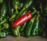 Chipotle removes jalapenos from U.S. restaurants after salmonella outbreak sickens 110 in Minnesota
