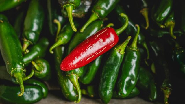 Chipotle removes jalapenos from U.S. restaurants after salmonella outbreak sickens 110 in Minnesota