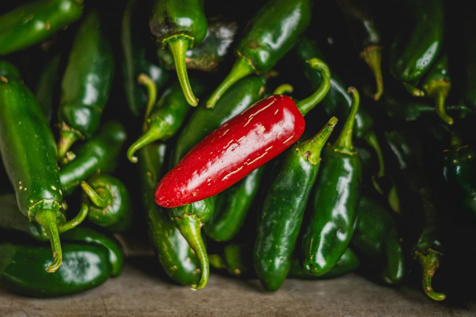 Chipotle removes jalapenos from U.S. restaurants after salmonella outbreak sickens 110 in Minnesota