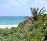 Four family members found dead after small plane crashes near Bahamas
