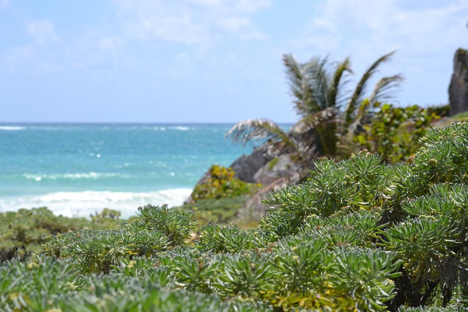 Four family members found dead after small plane crashes near Bahamas