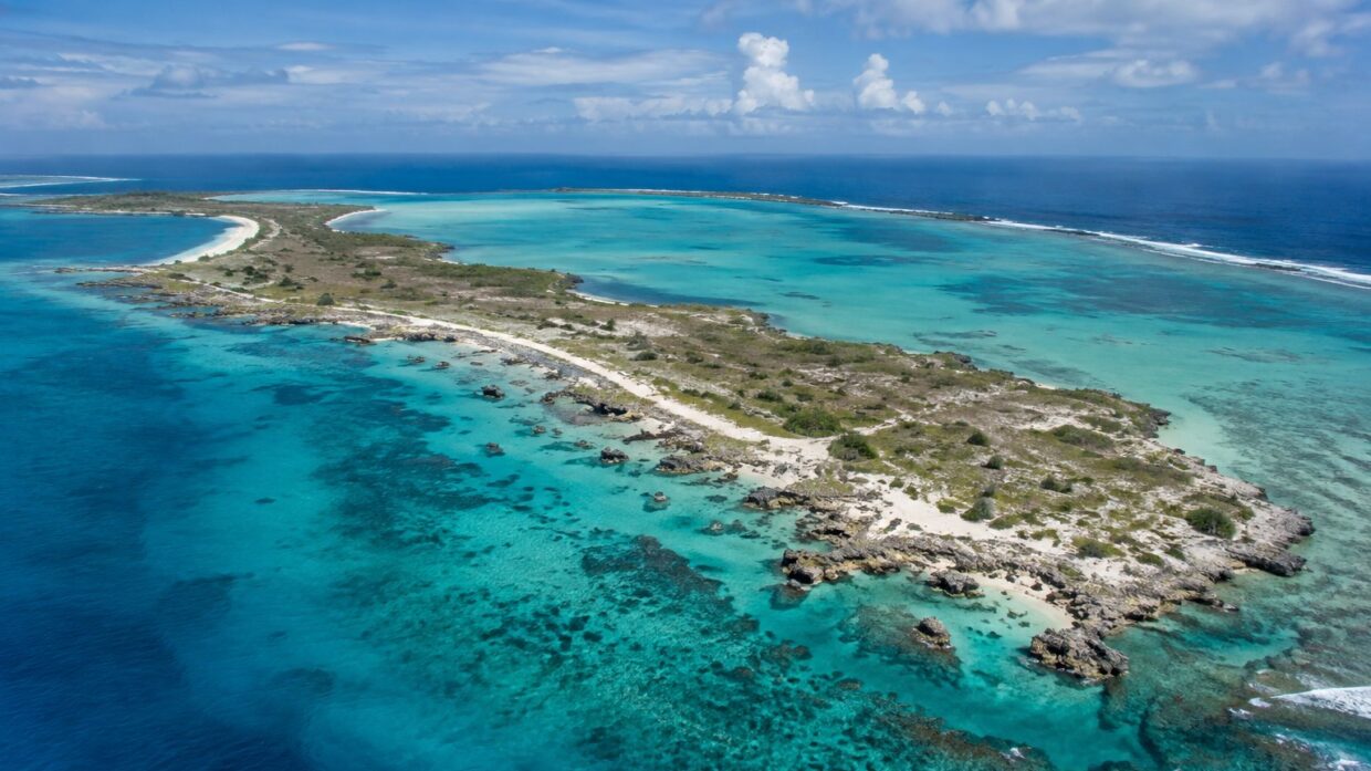 Amelia Earhart expedition finds no conclusive evidence on remote Pacific atoll after 90 years